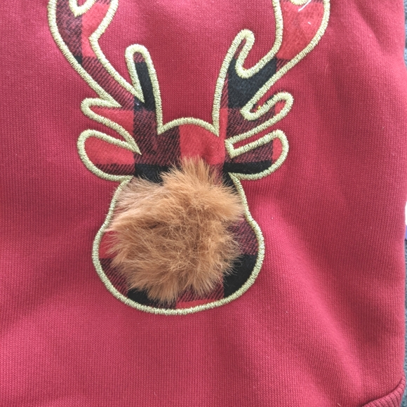 Cyeollo Dog Christmas Hoodie - Picture 6 of 7